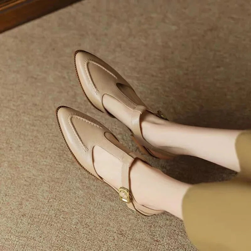 Women's T-Strap Buckle Shoes Pointed Toe Low Heel