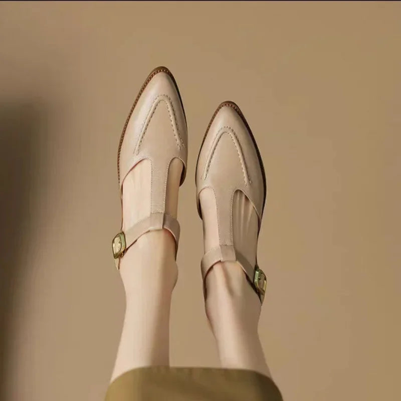 Women's T-Strap Buckle Shoes Pointed Toe Low Heel