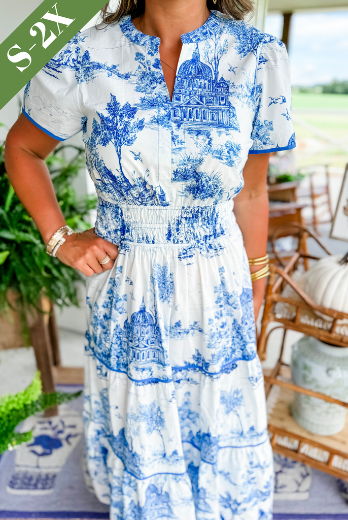 Women's Toile Print Spring Maxi Dress